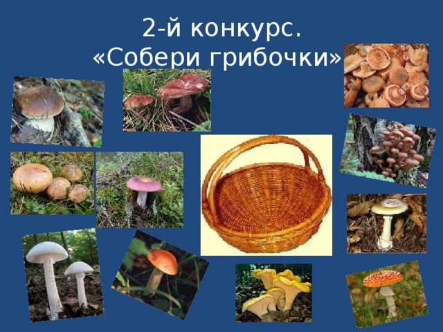   2-й конкурс.  «Собери грибочки».      