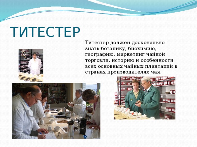 ТИТЕСТЕР Титестер должен досконально знать ботанику, биохимию, географию, маркетинг чайной торговли, историю и особенности всех основных чайных плантаций в странах-производителях чая. 