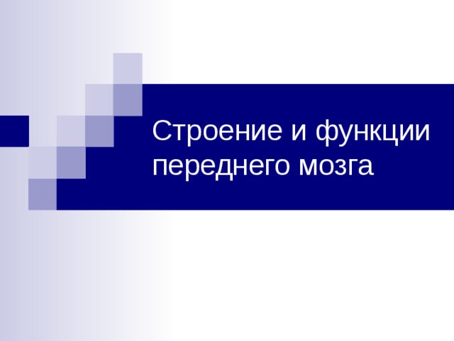 Строение и функции переднего мозга 