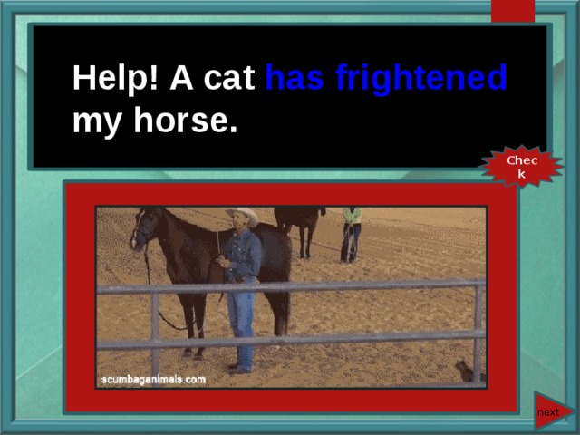 Help! A cat (to frighten) my horse. Help! A cat has frightened my horse. Check next 