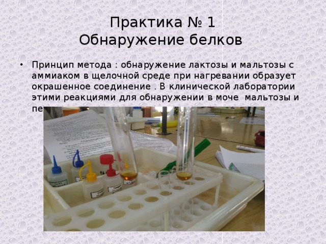Практика № 1  Обнаружение белков Принцип метода : обнаружение лактозы и мальтозы с аммиаком в щелочной среде при нагревании образует окрашенное соединение . В клинической лаборатории этими реакциями для обнаружении в моче мальтозы и пентозы 
