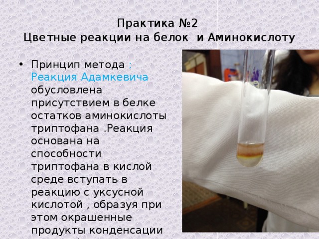Практика №2  Цветные реакции на белок и Аминокислоту Принцип метода : Реакция Адамкевича обусловлена присутствием в белке остатков аминокислоты триптофана .Реакция основана на способности триптофана в кислой среде вступать в реакцию с уксусной кислотой , образуя при этом окрашенные продукты конденсации красно-фиолетового цвета 