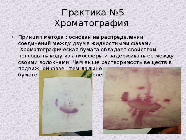 Практика №5  Хроматография. Принцип метода : основан на распределении соединений между двумя жидкостными фазами .Хроматографическая бумага обладает свойством поглощать воду из атмосферы и задерживать ее между своими волокнами .Чем выше растворимость веществ в подвижной фазе , тем дальше оно продвигается по бумаге вместе с растворителем . 