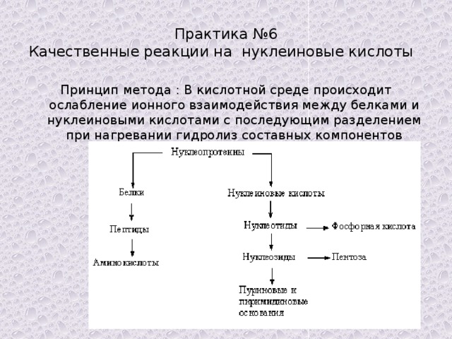 Практика №6  Качественные реакции на нуклеиновые кислоты Принцип метода : В кислотной среде происходит ослабление ионного взаимодействия между белками и нуклеиновыми кислотами с последующим разделением при нагревании гидролиз составных компонентов протекает по схеме: 