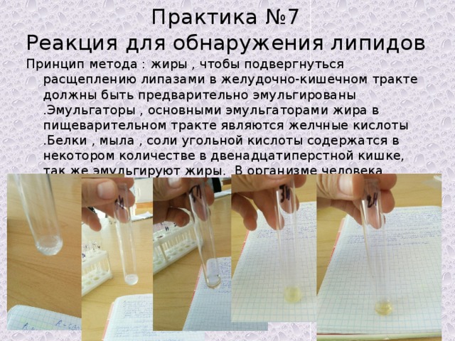Практика №7  Реакция для обнаружения липидов Принцип метода : жиры , чтобы подвергнуться расщеплению липазами в желудочно-кишечном тракте должны быть предварительно эмульгированы .Эмульгаторы , основными эмульгаторами жира в пищеварительном тракте являются желчные кислоты .Белки , мыла , соли угольной кислоты содержатся в некотором количестве в двенадцатиперстной кишке, так же эмульгируют жиры. В организме человека только эмульгированные жиры подвергаются действию ферментов и распадаются на более простые продукты . 