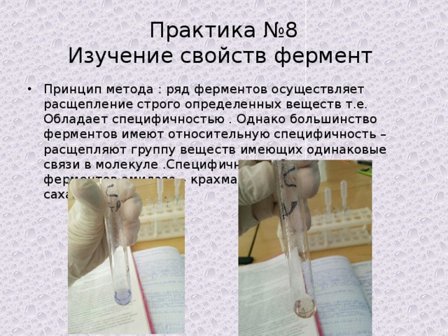 Практика №8  Изучение свойств фермент Принцип метода : ряд ферментов осуществляет расщепление строго определенных веществ т.е. Обладает специфичностью . Однако большинство ферментов имеют относительную специфичность – расщепляют группу веществ имеющих одинаковые связи в молекуле .Специфичным субстратом для ферментов амилаза – крахмал , а для сахаразы-сахароза . 