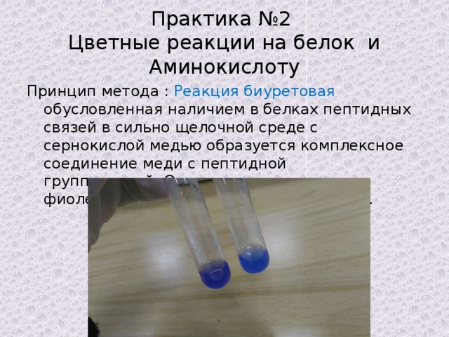 Практика №2  Цветные реакции на белок и Аминокислоту Принцип метода : Реакция биуретовая обусловленная наличием в белках пептидных связей в сильно щелочной среде с сернокислой медью образуется комплексное соединение меди с пептидной группировкой .Окрашивание в красно-фиолетовый или сине-фиолетовый цвет . 