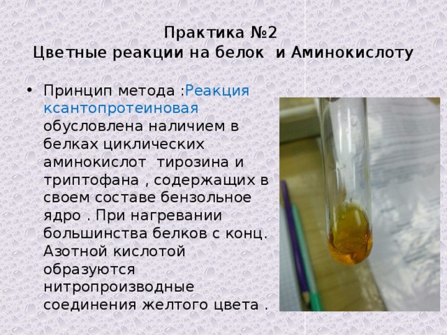 Практика №2  Цветные реакции на белок и Аминокислоту Принцип метода : Реакция ксантопротеиновая обусловлена наличием в белках циклических аминокислот тирозина и триптофана , содержащих в своем составе бензольное ядро . При нагревании большинства белков с конц. Азотной кислотой образуются нитропроизводные соединения желтого цвета . 