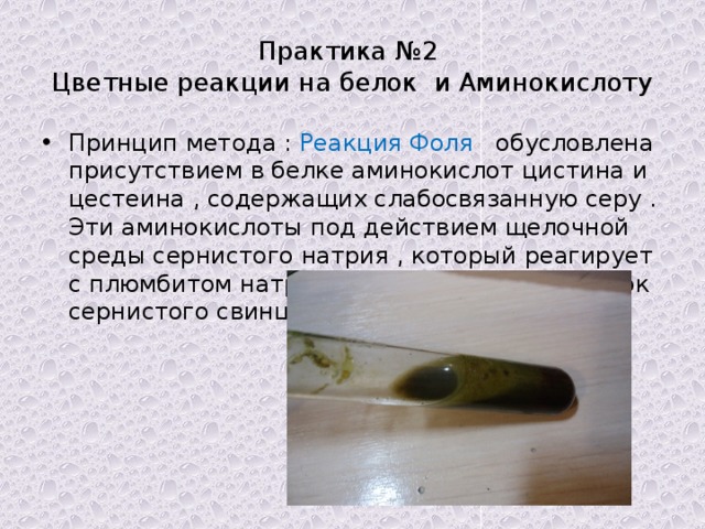 Практика №2  Цветные реакции на белок и Аминокислоту Принцип метода : Реакция Фоля обусловлена присутствием в белке аминокислот цистина и цестеина , содержащих слабосвязанную серу . Эти аминокислоты под действием щелочной среды сернистого натрия , который реагирует с плюмбитом натрия образует черный осадок сернистого свинца . 