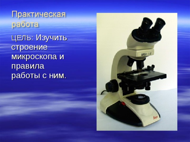ЦЕЛЬ: Изучить строение микроскопа и правила работы с ним. 