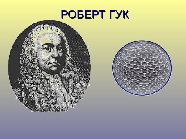 РОБЕРТ ГУК 