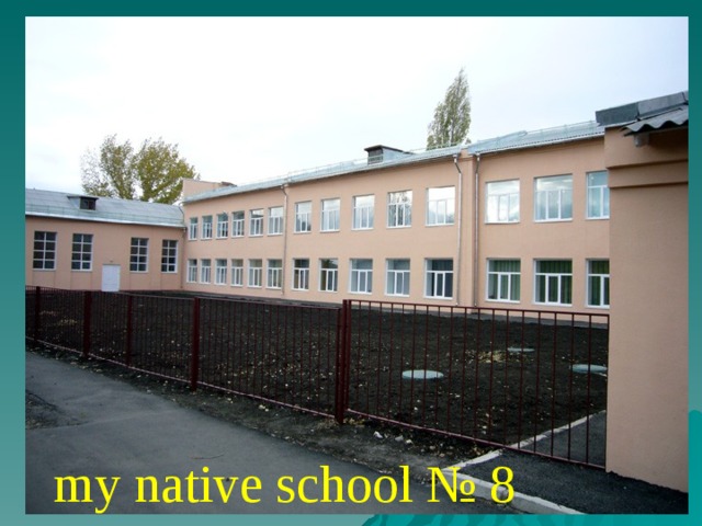 my native school № 8 
