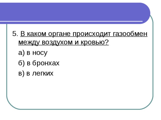 В каком органе происходит газообмен между воздухом и кровью? 