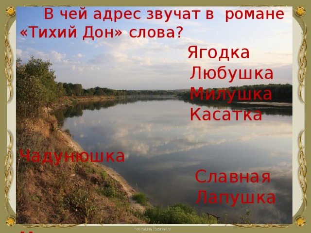  В чей адрес звучат в романе «Тихий Дон» слова?  Ягодка  Любушка  Милушка  Касатка  Чадунюшка  Славная  Лапушка  Маманюшка 