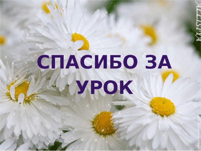Спасибо за урок 