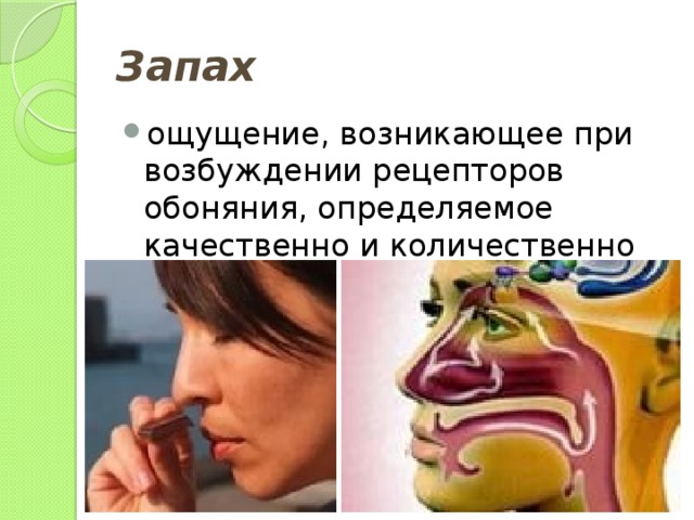 Запах ощущение, возникающее при возбуждении рецепторов обоняния, определяемое качественно и количественно 