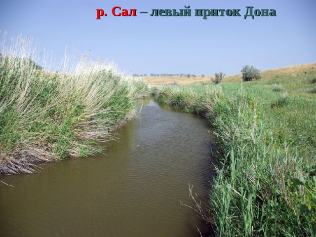 р. Сал – левый приток Дона 