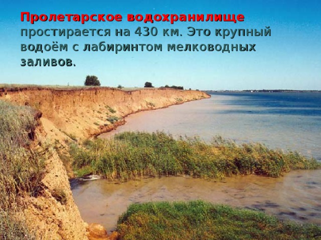 Пролетарское водохранилище простирается на 430 км. Это крупный водоём с лабиринтом мелководных заливов. 