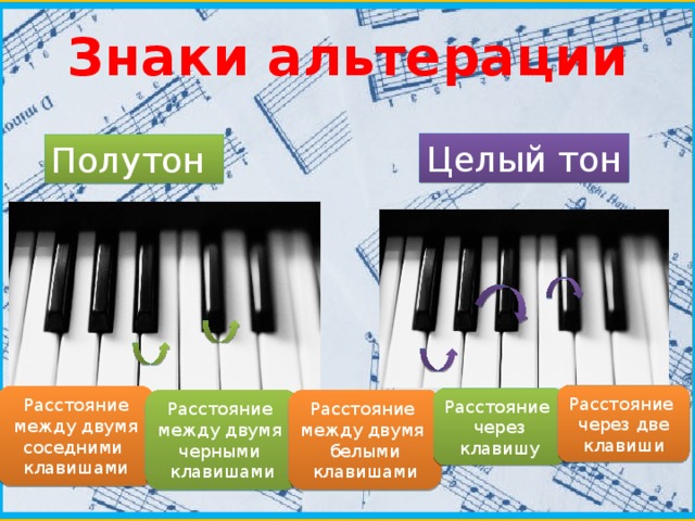 Знаки альтерации Целый тон Полутон Расстояние через две клавиши Расстояние  между двумя соседними клавишами Расстояние через клавишу Расстояние между двумя черными клавишами Расстояние между двумя белыми клавишами 