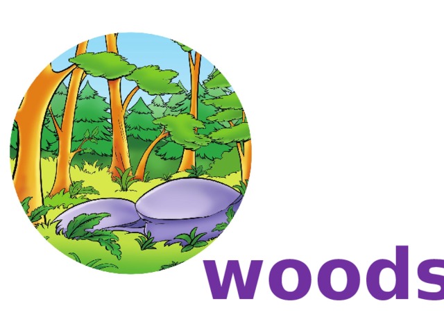 woods 