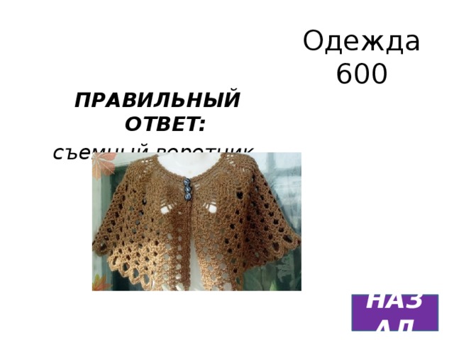 Одежда  600 ПРАВИЛЬНЫЙ ОТВЕТ: съемный воротник-накидка НАЗАД 