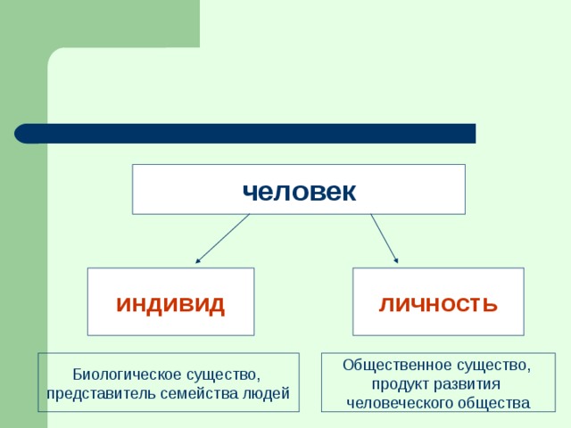  человек индивид личность Биологическое существо, представитель семейства людей Общественное существо, продукт развития человеческого общества 