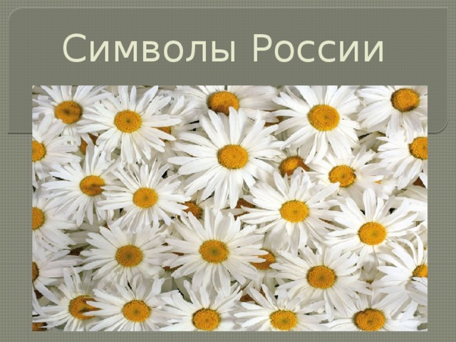 Символы России Что нам известно о России? 