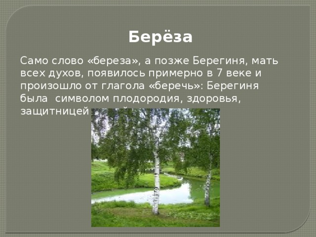 Берёза Само слово «береза», а позже Берегиня, мать всех духов, появилось примерно в 7 веке и произошло от глагола «беречь»: Берегиня была символом плодородия, здоровья, защитницей людей. 