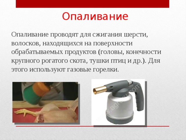 Опаливание Опаливание проводят для сжигания шерсти, волосков, находящихся на поверхности обрабатываемых продуктов (головы, конечности крупного рогатого скота, тушки птиц и др.). Для этого используют газовые горелки. 