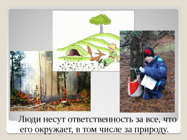 Люди несут ответственность за все, что его окружает, в том числе за природу. 8 
