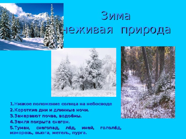Зима  неживая природа 1.Низкое положение солнца на небосводе 2.Короткие дни и длинные ночи. 3.Замерзают почва, водоёмы. 4.Земля покрыта снегом. 5.Туман, снегопад, лёд, иней, гололёд, изморозь, вьюга, метель, пурга. 