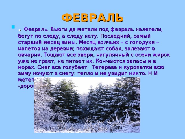 ФЕВРАЛЬ .  Февраль. Вьюги да метели под февраль налетели, бегут по следу, а следу нету. Последний, самый старший месяц зимы. Месяц волчьих – с голодухи – налетов на деревни; похищают собак, залезают в овчарни. Тощают все звери, нагулянный с осени жирок уже не греет, не питает их. Кончаются запасы и в норах. Снег все голубеет. Тетерева и куропатки всю зиму ночуют в снегу: тепло и не увидит никто. Н И метет, метет поземка, засыпает февраль -дорогорушник санные пути-дороги . 