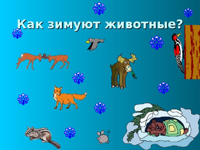 Как зимуют животные? 