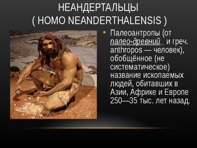 НЕАНДЕРТАЛЬЦЫ  ( HOMO NEANDERTHALENSIS ) Палеоантропы (от палео-древний .. и греч. anthropos — человек), обобщённое (не систематическое) название ископаемых людей, обитавших в Азии, Африке и Европе 250—35 тыс. лет назад.  