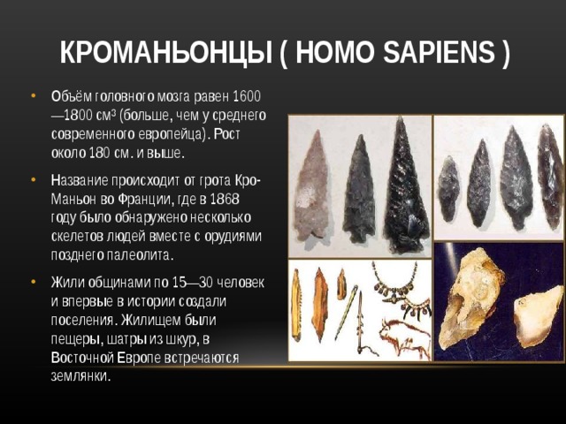 КРОМАНЬОНЦЫ ( HOMO SAPIENS ) Объём головного мозга равен 1600—1800 см³ (больше, чем у среднего современного европейца). Рост около 180 см. и выше. Название происходит от грота Кро-Маньон во Франции, где в 1868 году было обнаружено несколько скелетов людей вместе с орудиями позднего палеолита. Жили общинами по 15—30 человек и впервые в истории создали поселения. Жилищем были пещеры, шатры из шкур, в Восточной Европе встречаются землянки. 