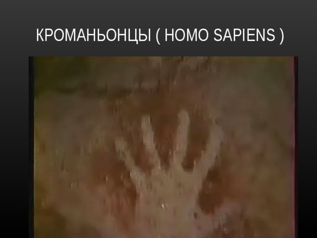 КРОМАНЬОНЦЫ ( HOMO SAPIENS ) 