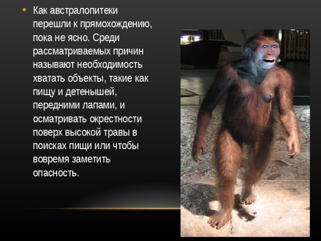 Как австралопитеки перешли к прямохождению, пока не ясно. Среди рассматриваемых причин называют необходимость хватать объекты, такие как пищу и детенышей, передними лапами, и осматривать окрестности поверх высокой травы в поисках пищи или чтобы вовремя заметить опасность. 