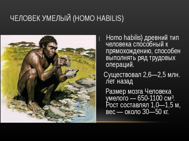 ЧЕЛОВЕК УМЕЛЫЙ ( HOMO HABILIS ) ( Homo habilis) древний тип человека способный к прямохождению, способен выполнять ряд трудовых операций.  Существовал 2,6—2,5 млн. лет назад  Размер мозга Человека умелого — 650-1100 см³. Рост составлял 1,0—1,5 м, вес — около 30—50 кг. 
