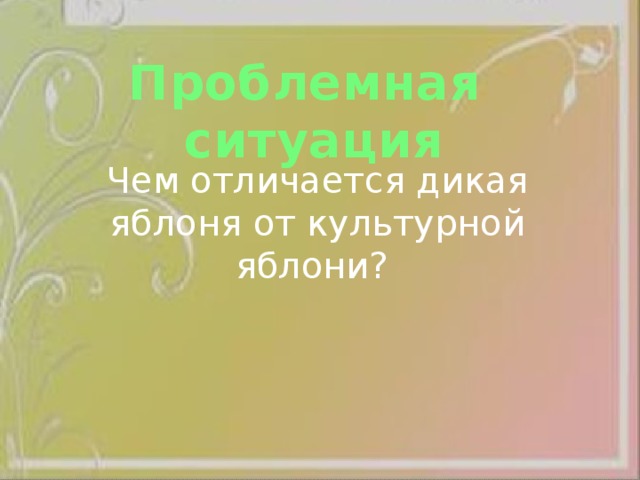 Проблемная ситуация Чем отличается дикая яблоня от культурной яблони? 