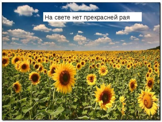 На свете нет прекрасней рая 
