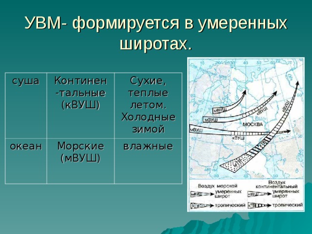УВМ- формируется в умеренных широтах. суша Континен -тальные (кВУШ) океан Сухие, теплые летом. Холодные зимой Морские (мВУШ) влажные 
