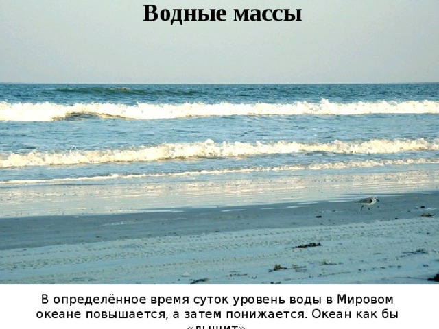 Водные массы Приливы и отливы В определённое время суток уровень воды в Мировом океане повышается, а затем понижается. Океан как бы «дышит». 