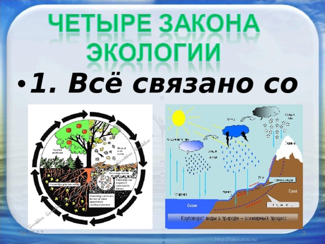 1. Всё связано со всем.  29.05.17  