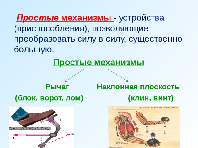  Простые механизмы - устройства (приспособления), позволяющие преобразовать силу в силу, существенно большую. Простые механизмы   Рычаг Наклонная плоскость  (блок, ворот, лом) (клин, винт)     