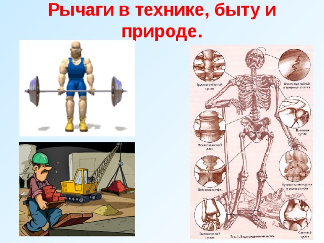 Рычаги в технике, быту и природе.   