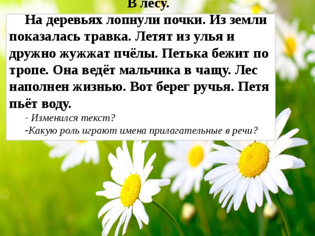 В лесу. На деревьях лопнули почки. Из земли показалась травка. Летят из улья и дружно жужжат пчёлы. Петька бежит по тропе. Она ведёт мальчика в чащу. Лес наполнен жизнью. Вот берег ручья. Петя пьёт воду.  - Изменился текст? Какую роль играют имена прилагательные в речи?   