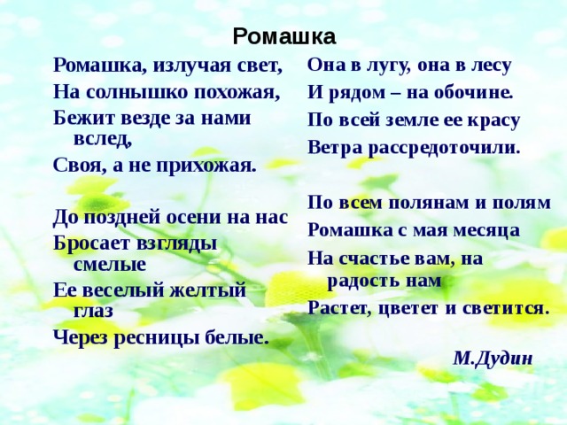 Ромашка Ромашка, излучая свет, На солнышко похожая, Бежит везде за нами вслед, Своя, а не прихожая.  До поздней осени на нас Бросает взгляды смелые Ее веселый желтый глаз Через ресницы белые. Она в лугу, она в лесу И рядом – на обочине. По всей земле ее красу Ветра рассредоточили.  По всем полянам и полям Ромашка с мая месяца На счастье вам, на радость нам Растет, цветет и светится.  М.Дудин  