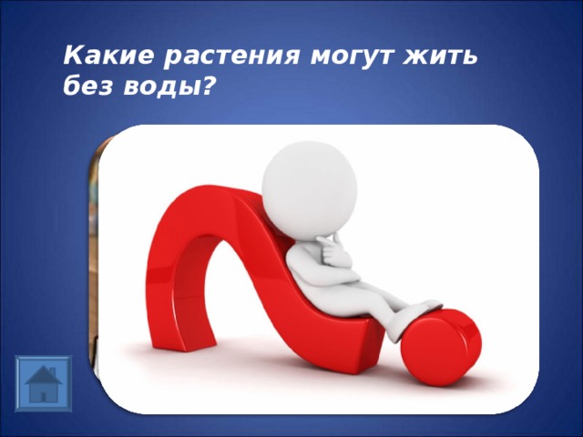 Какие растения могут жить без воды?  