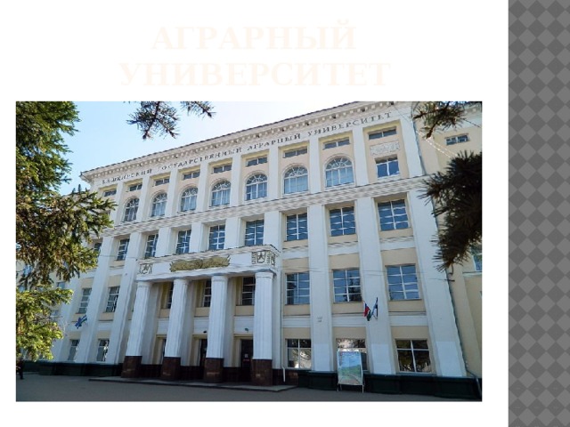 Аграрный университет 