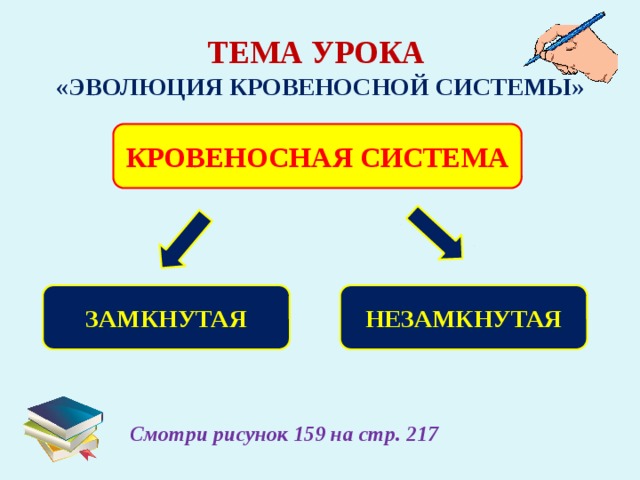 ТЕМА УРОКА «ЭВОЛЮЦИЯ КРОВЕНОСНОЙ СИСТЕМЫ» КРОВЕНОСНАЯ СИСТЕМА ЗАМКНУТАЯ НЕЗАМКНУТАЯ Смотри рисунок 159 на стр. 217 